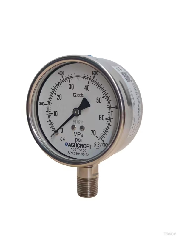 T5400 全不銹鋼彈簧管壓力表
